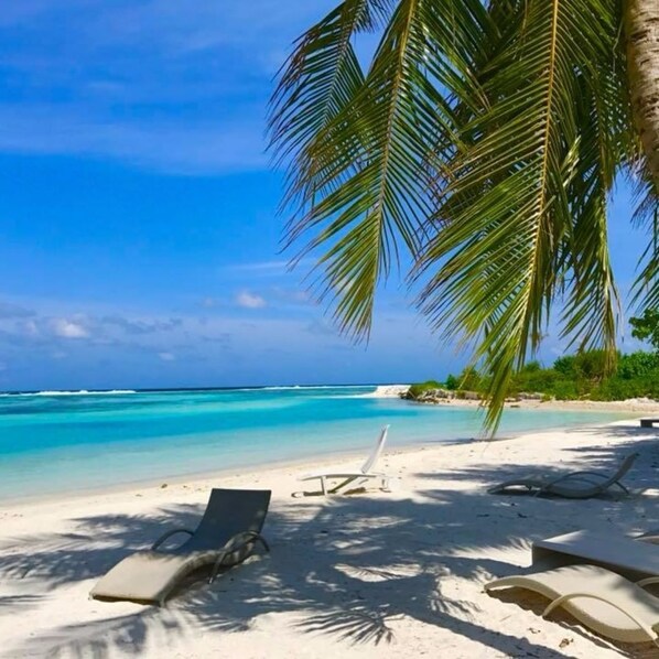 일광욕 의자, 비치 파라솔, 비치 타월