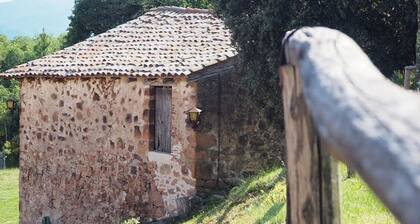 Mas Cal Tailor's cottage