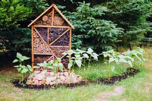 A wooden birdhouse with a triangular roof and a lattice design, surrounded by young plants and rocks.