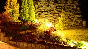 A landscaped garden with various trees and shrubs, illuminated by artificial lighting.