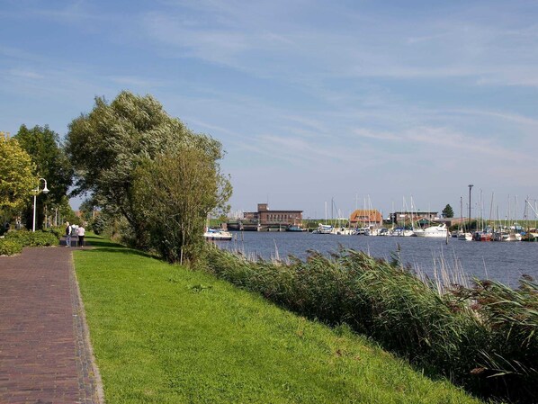 Unclassified image, 1 of 17, button