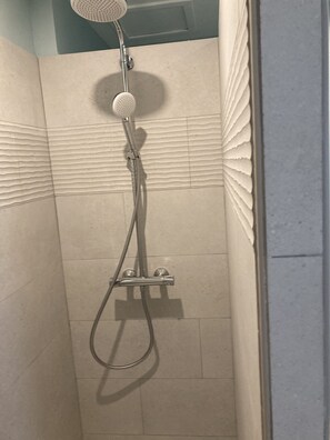 Shower, towels, toilet paper