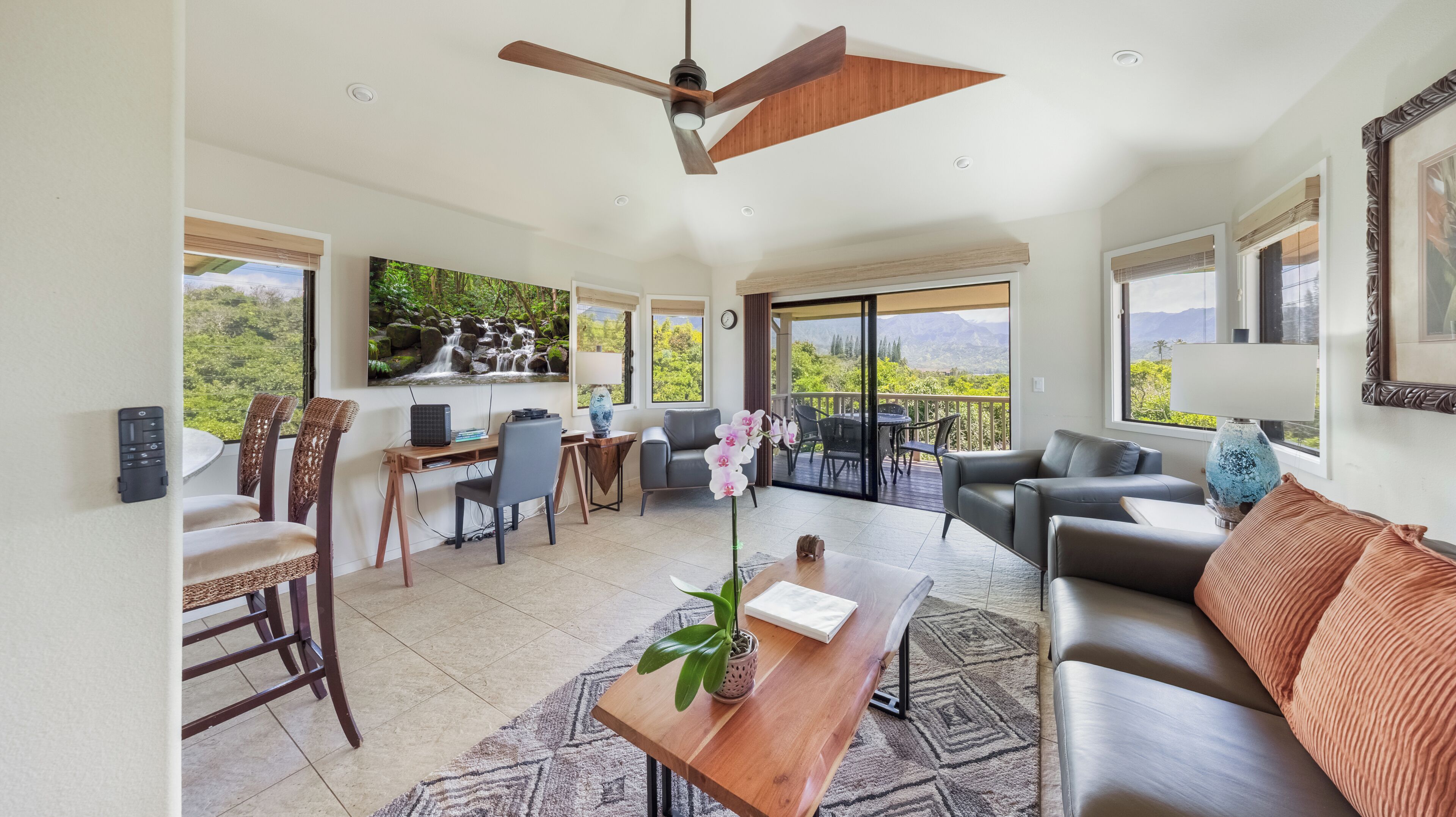 Smart TV, DVD player, books