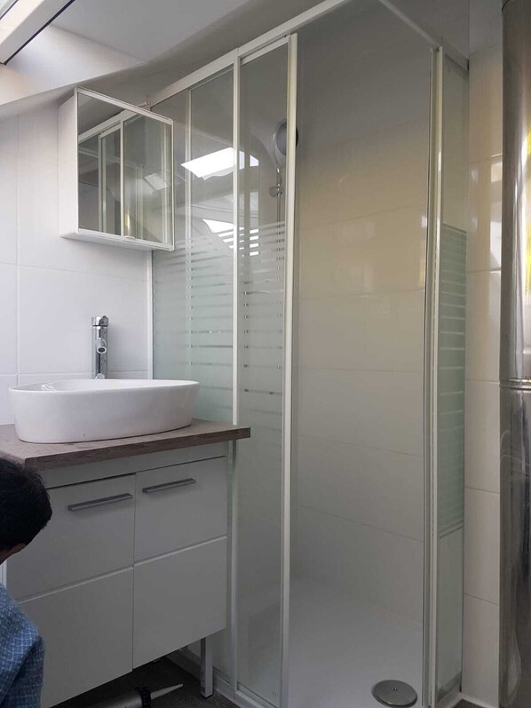 A modern bathroom with a glass shower enclosure, a white sink, and a mirrored cabinet.