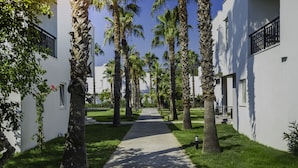 A pathway lined with palm trees and white buildings, leading to a building entrance. - Simena Comfort Hotel (Kemer)