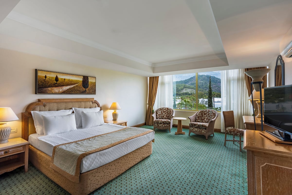 A hotel room with a large bed, a television, a desk, and a view of the outdoors.