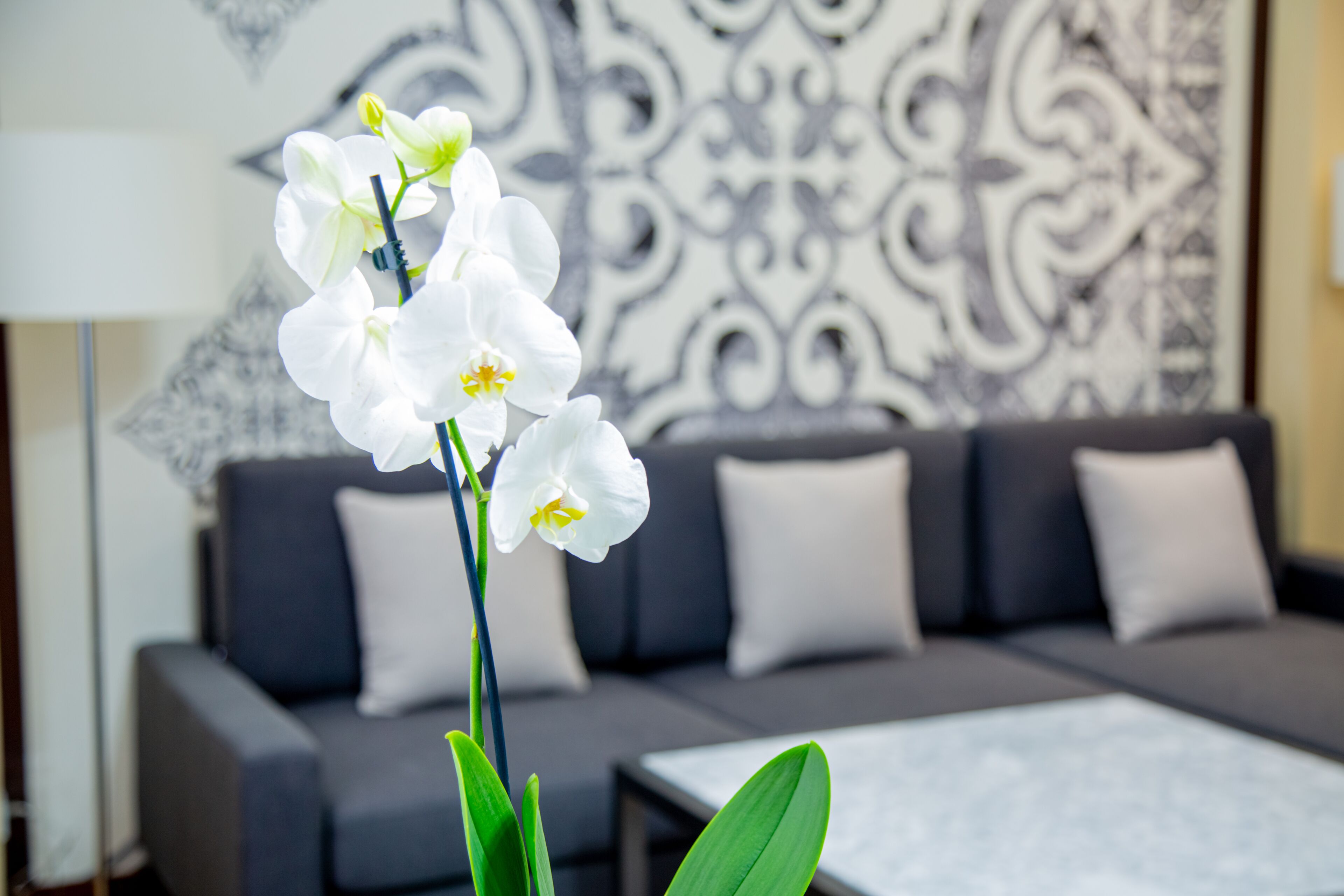 luxury room | living area