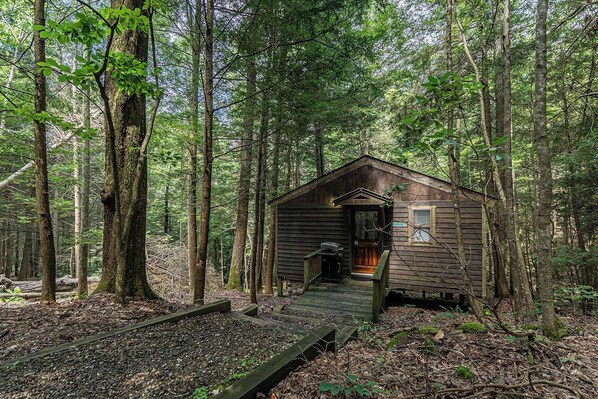 Exterior - Romantic Get-away Cabin in the woods, w/Hottub next to coolest small town in USA (Victor)