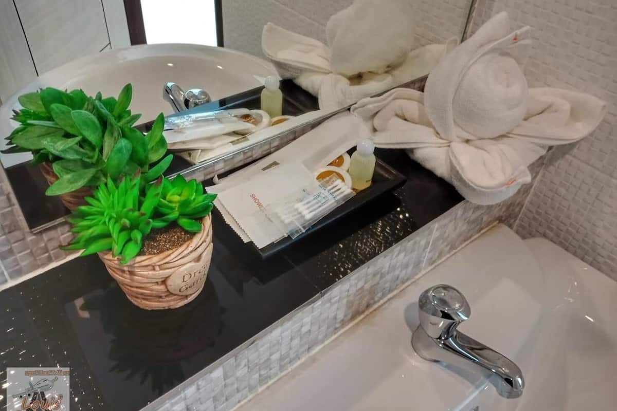 shower, rainfall showerhead, designer toiletries, hair dryer