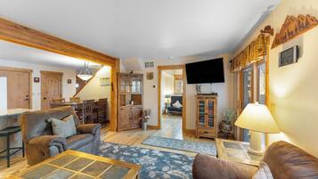 Télévision, cheminée, lecteur de DVD, vidéothÚque