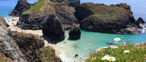 بالقرب من الشاطئ