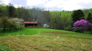 A rustic cabin in a lush green field with a clear sky. - Workman's Wildlife Haven, Secluded country setting vacation cabin (Louisa)