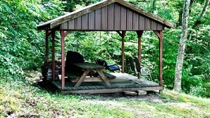 A wooden pavilion with a picnic table and benches, surrounded by dense forest. - Workman's Wildlife Haven, Secluded country setting vacation cabin (Louisa)