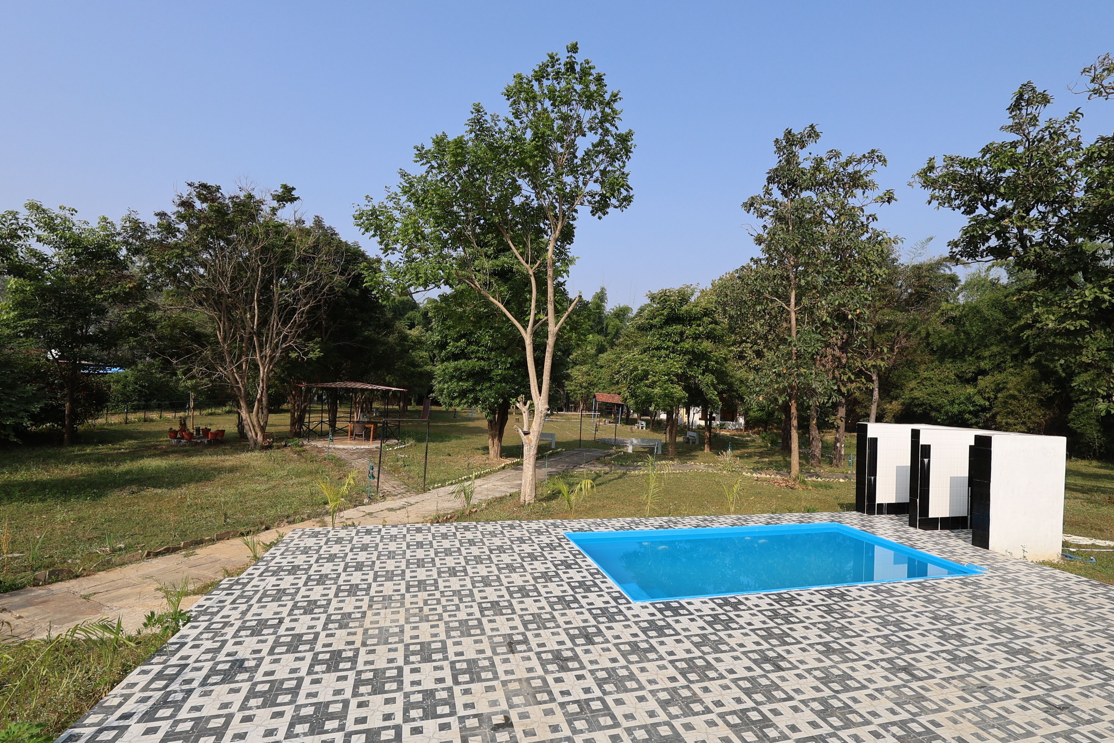 A swimming pool with a tiled deck, surrounded by trees and a grassy area.