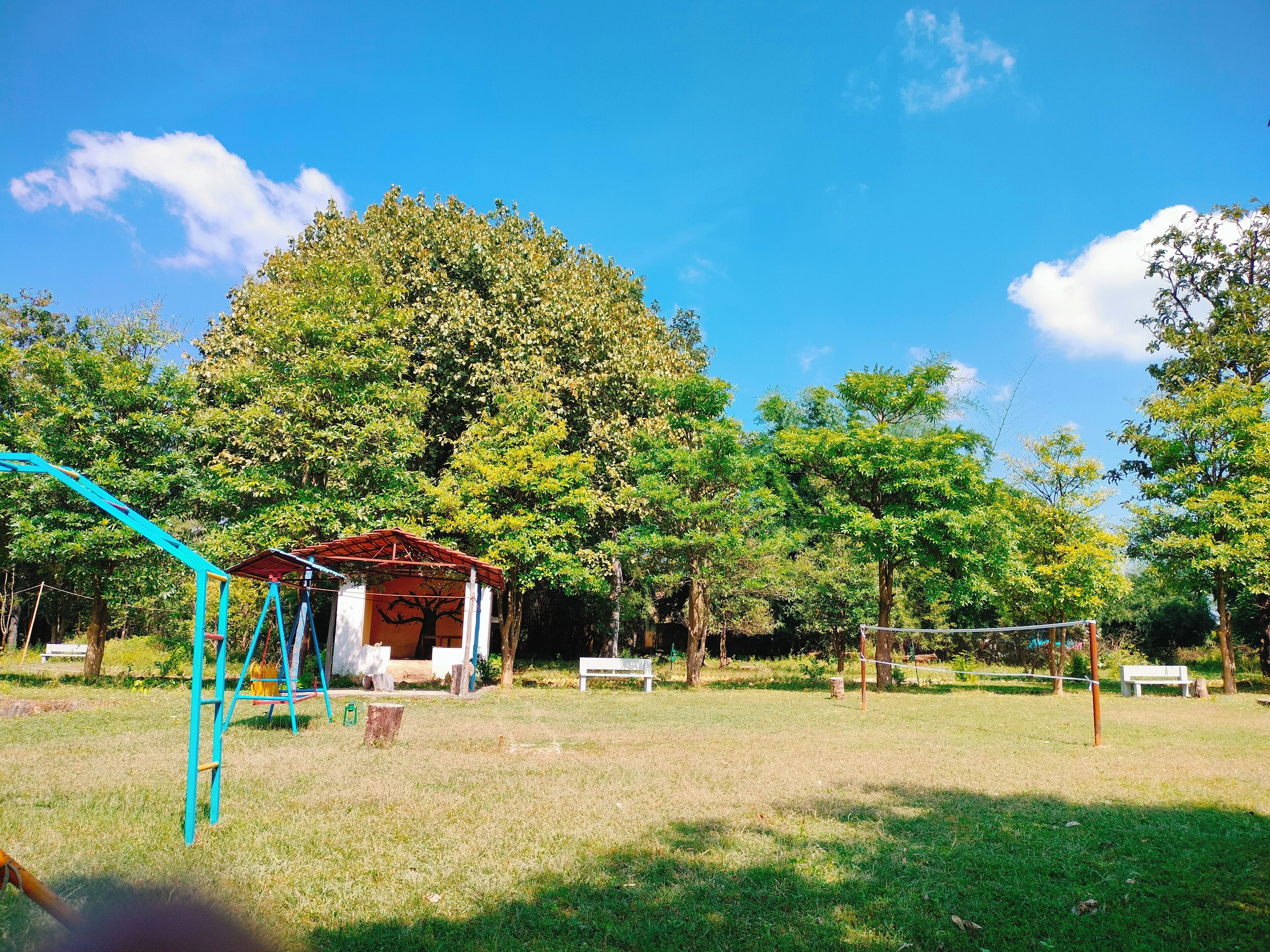 Avistaje de animales salvajes