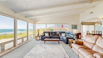 TV, fireplace, books