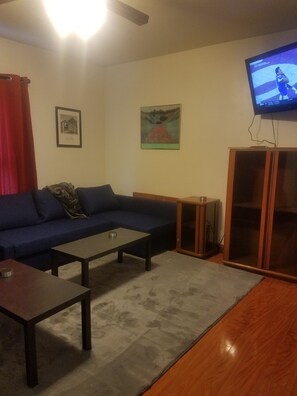 Smart-TV, DVD-Player, Bücher, Videothek