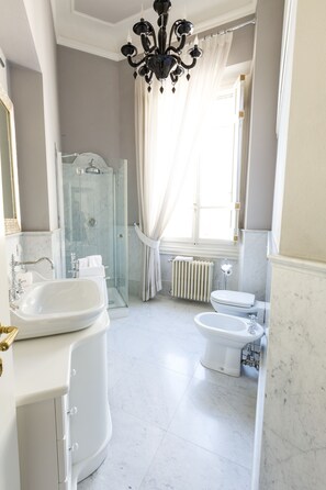 Combined shower/bathtub, hair dryer, bidet, towels