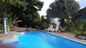 Piscina com espreguiçadeiras e uma palmeira.