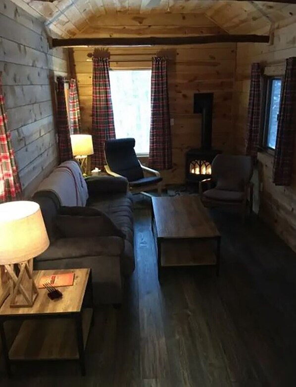 TV, fireplace, books