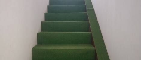 Eine Treppe mit grünen Teppichstufen, die nach oben führen.