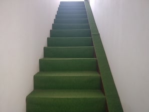Staircase with a uniform carpeted design leads upwards.