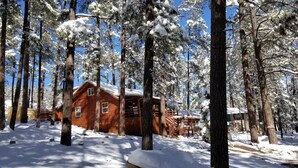 A wooden cabin surrounded by tall pine trees covered in snow.
