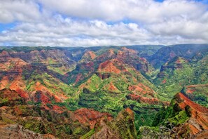Une vue panoramique d’un canyon aux formations rocheuses en strates et à la végétation verdoyante.