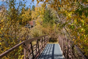 Cross a serene bridge through the heart of a tranquil forest.