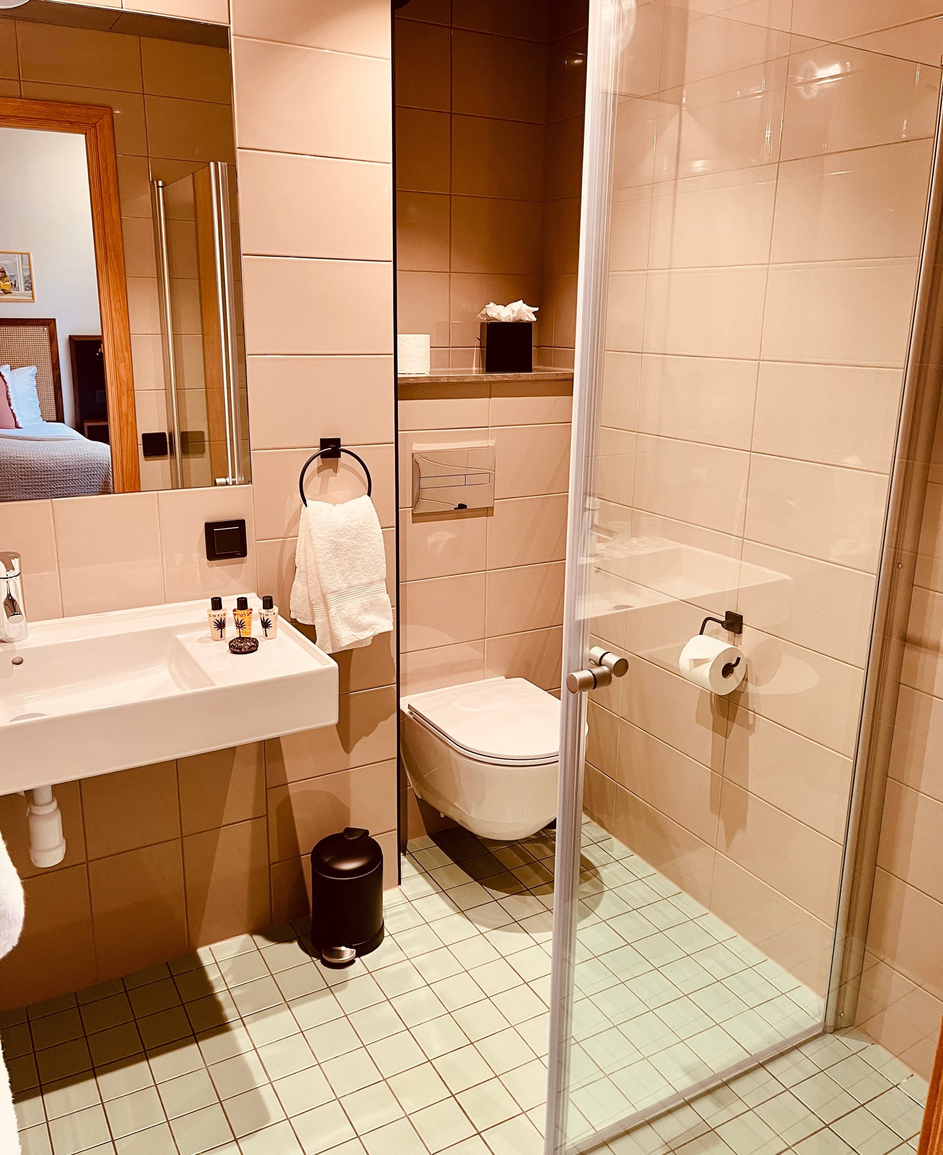 Ein modernes Badezimmer mit Duschkabine aus Glas, einem Waschbecken mit Pflegeprodukten und einer Toilette.