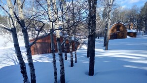 A snow-covered landscape with wooden cabins and birch trees. - Mountain getaway. Located on 7 acres at 6,500 foot elevation. Elk, deer, Turkey
 (Lead)