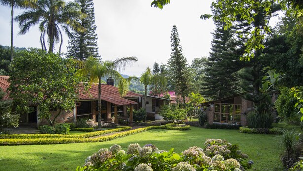 Restaurant - Monte Niebla Hotel Spa (Jilotepec)