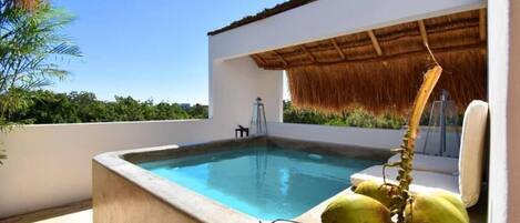 Design-Loft (Private Rooftop Pool) | Eigener Pool