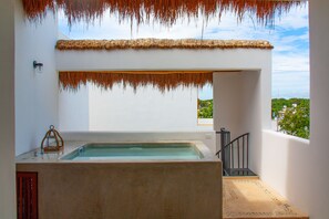 豪華樓中樓客房 (Private Rooftop Pool) | 露台/庭院