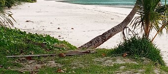 Ocean view garden homestay