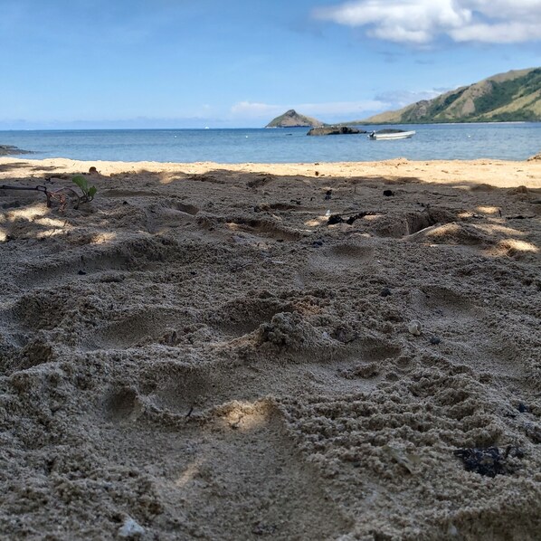 A sandy beach with a clear sky and distant mountains. - Ocean view garden homestay (Wayasewa)