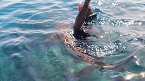A person snorkeling in clear blue water with visible underwater rocks and marine life. - Ocean view garden homestay (Wayasewa)