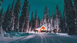 A snow-covered cabin with a lit roof, surrounded by tall pine trees. - True Ski in/Ski out Hot tub In the village (Big White)