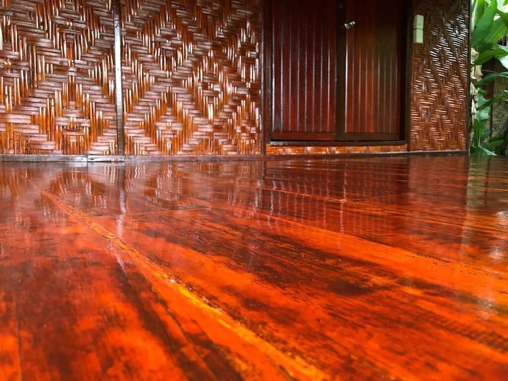 Andaman Sunflower by null