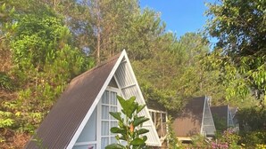 Une maison avec un toit triangulaire et de grandes fenêtres, entourée d’une végétation luxuriante et de fleurs violettes.