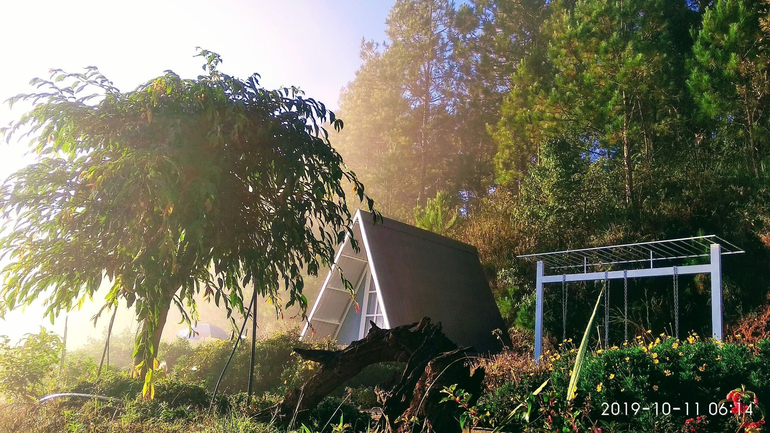 Telttaa muistuttava rakennelma, jossa on valkoinen katos, ja sen ympärillä on rehevää kasvillisuutta ja puita.