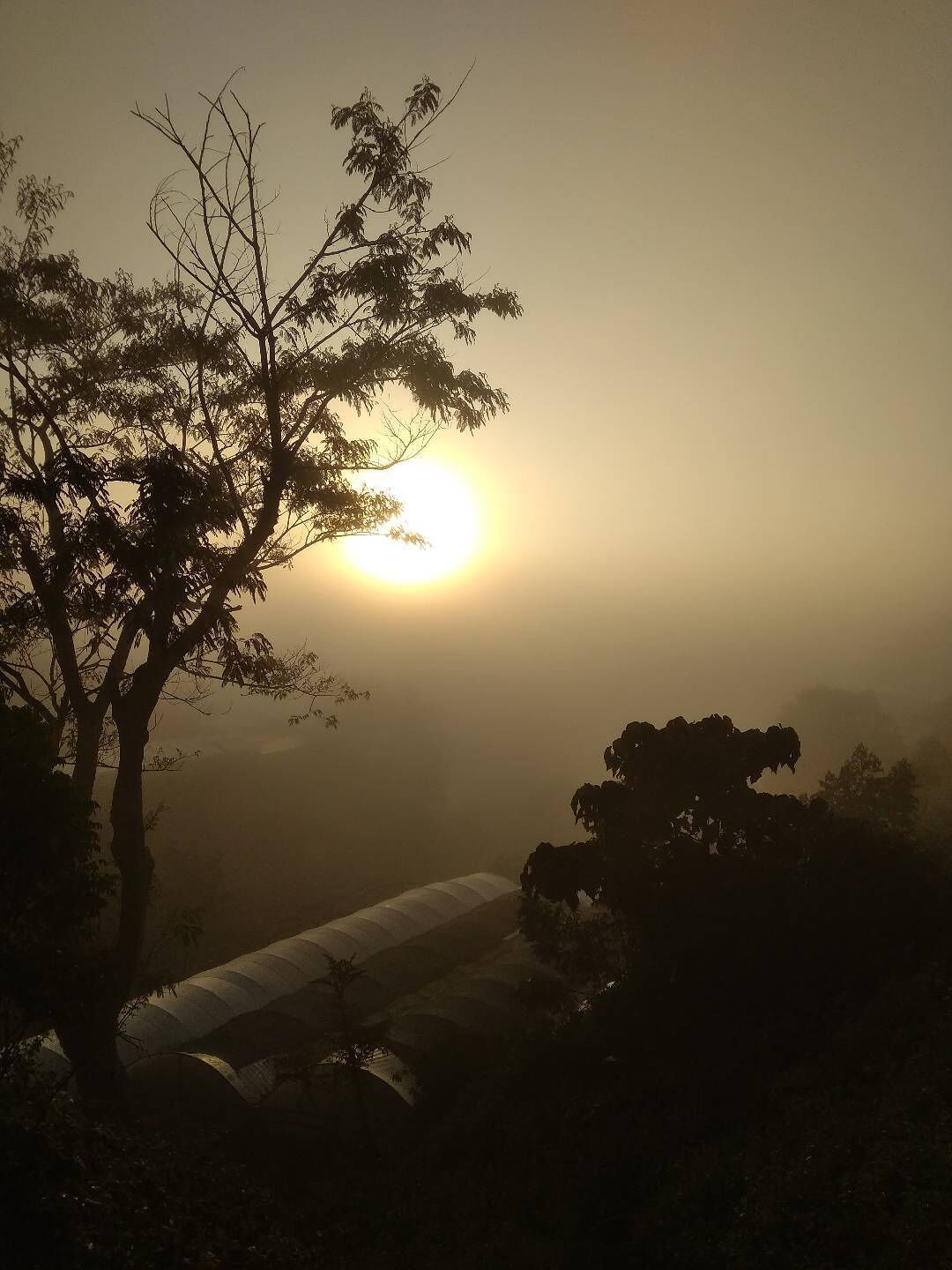 إطلالة على الجبل