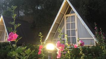豪華單棟小屋 | 客廳