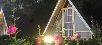 Tuyet Hoa Hon Bo Bungalow