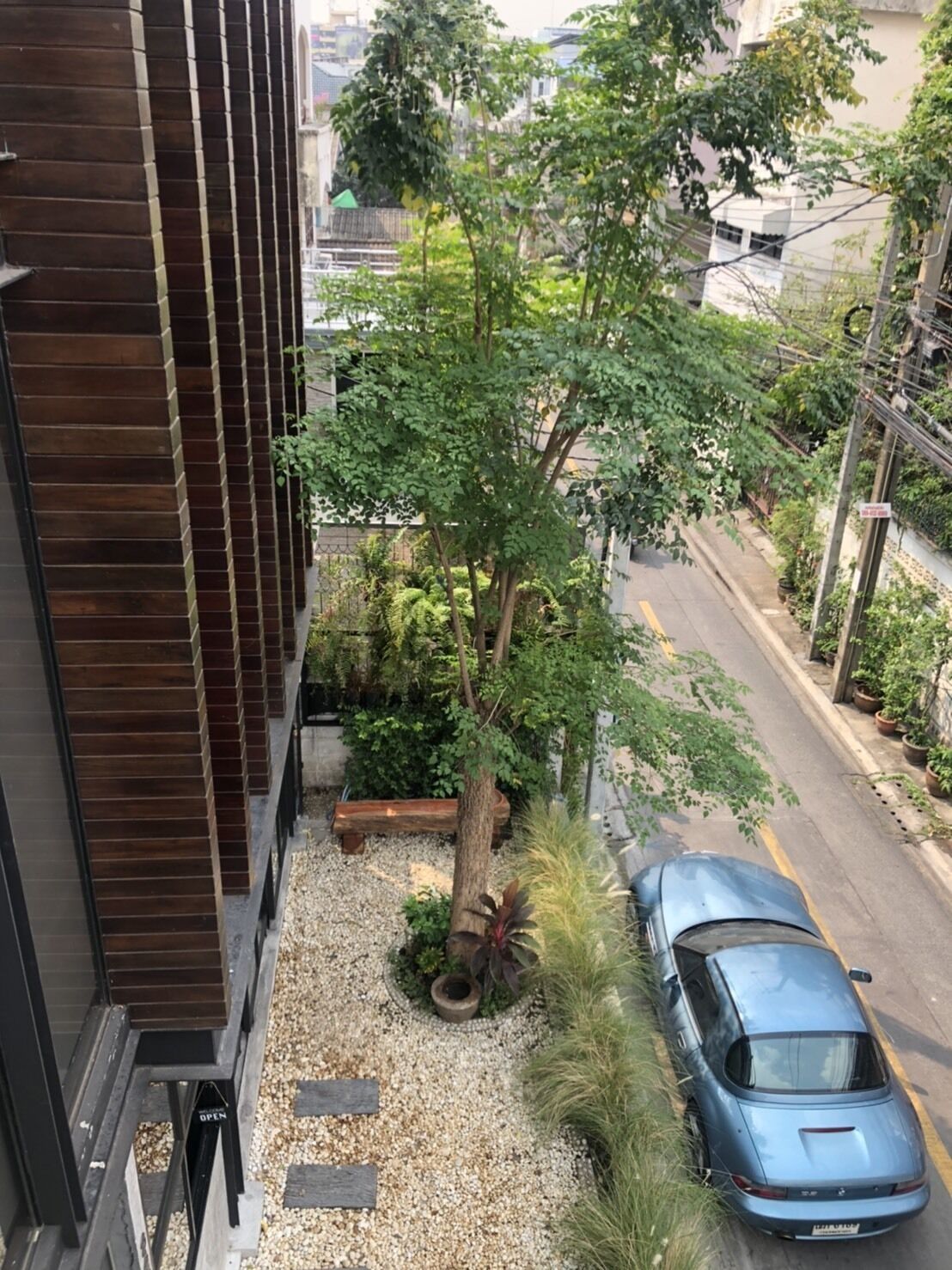 庭園