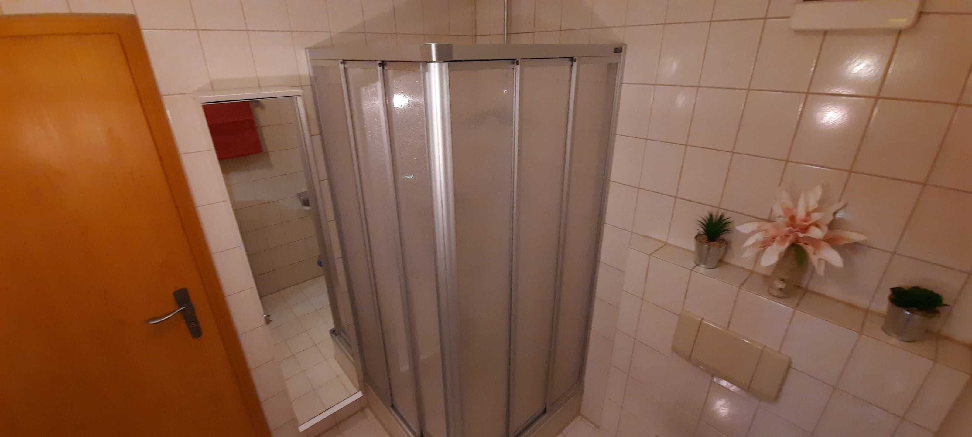 Een badkamer met douchecabine, toilet en wastafel.