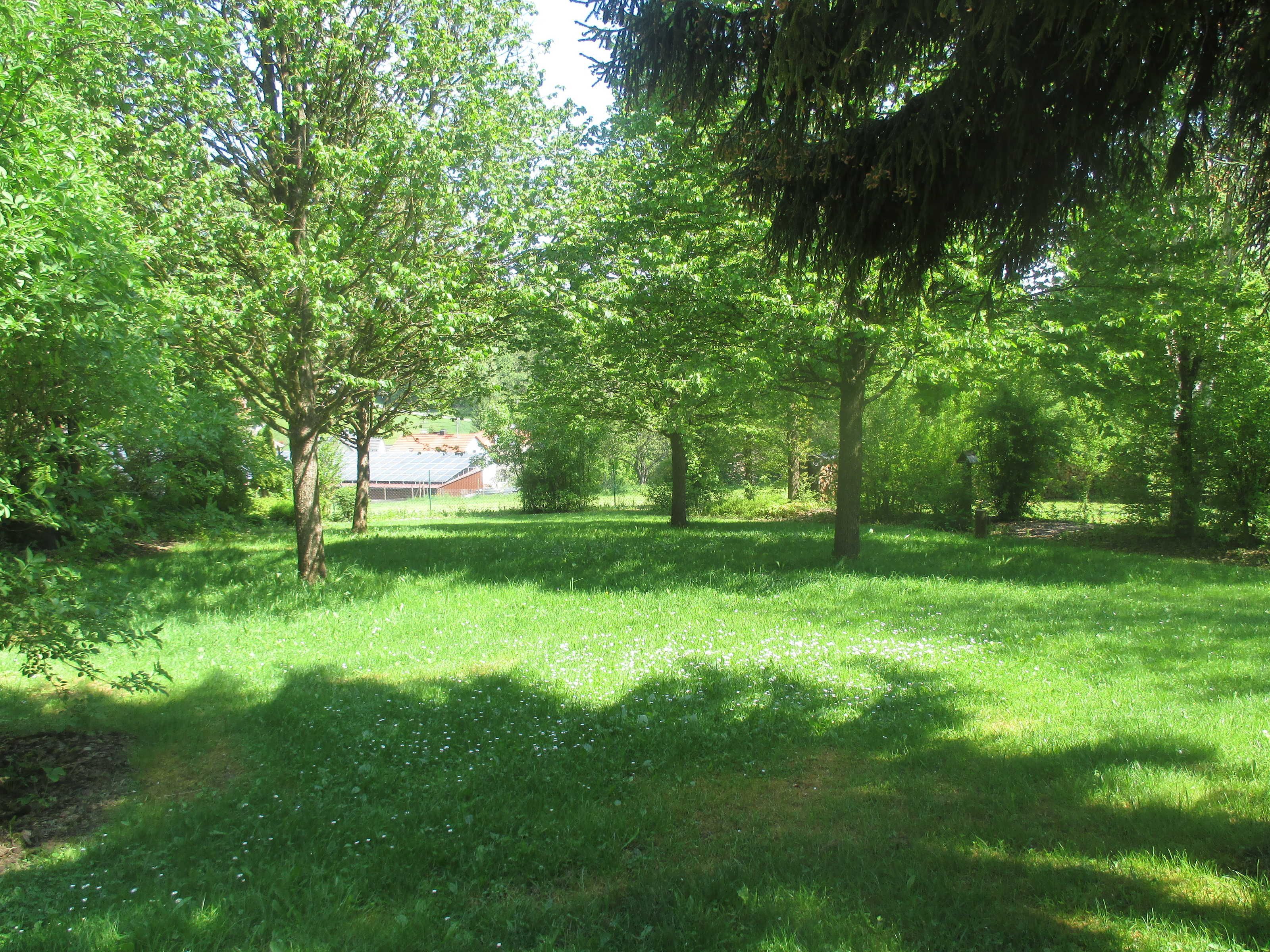 A grassy area with trees and a building in the background.
