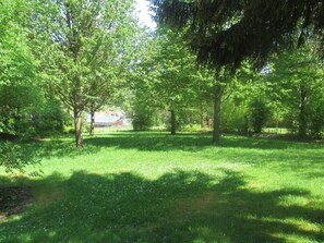 Une zone herbeuse avec des arbres et un bâtiment en arrière-plan.