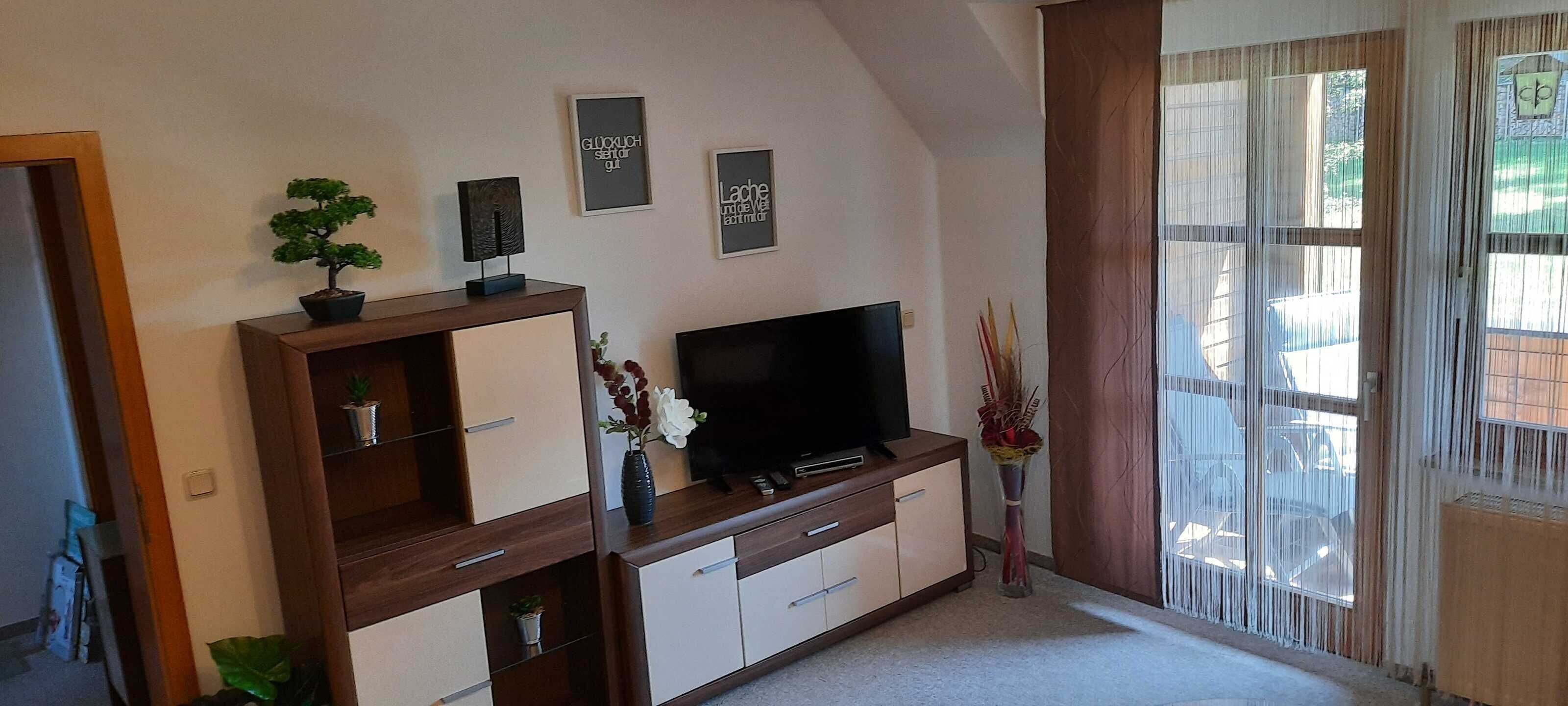 A living room with a TV, wooden cabinet, potted plants, and framed artwork on the wall.