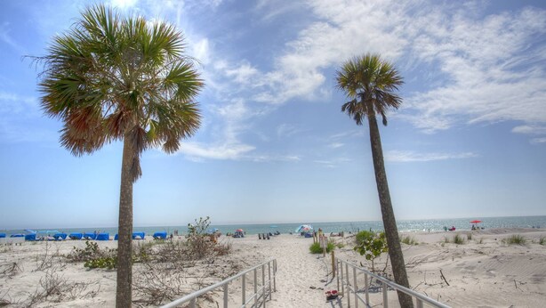 A beach with palm trees, a sandy path, and beach umbrellas.